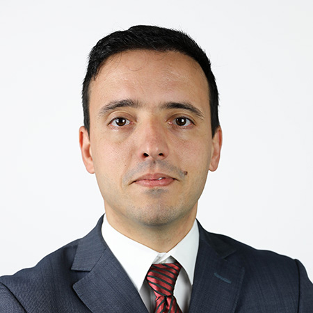Marcelo Ferreira Rodrigues